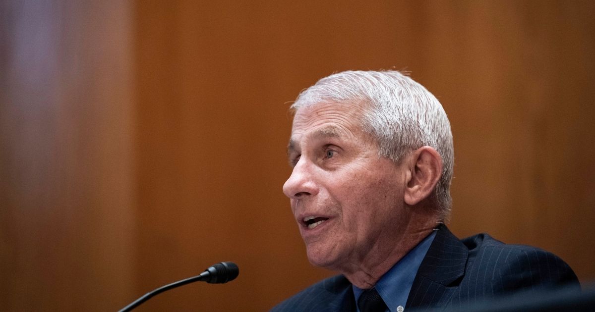 Dr. Anthony Fauci, director of the National Institute of Allergy and Infectious Diseases, speaks during a Senate Appropriations Labor, Health and Human Services Subcommittee hearing looking into the budget estimates for National Institute of Health and state of medical research on Capitol Hill, May 26 in Washington, D.C.