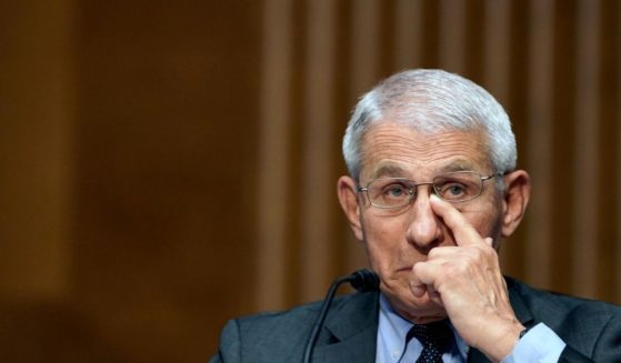 Dr. Anthony Fauci, director of the National Institute of Allergy and Infectious Diseases, testifies during a Senate Health, Education, Labor, and Pensions hearing to examine an update from Federal officials on efforts to combat COVID-19 on May 11 on Capitol Hill in Washington D.C.