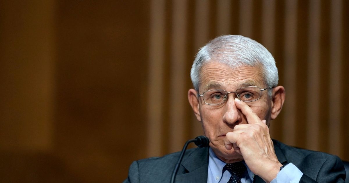 Dr. Anthony Fauci, director of the National Institute of Allergy and Infectious Diseases, testifies during a Senate Health, Education, Labor, and Pensions hearing to examine an update from Federal officials on efforts to combat COVID-19 on May 11 on Capitol Hill in Washington D.C.