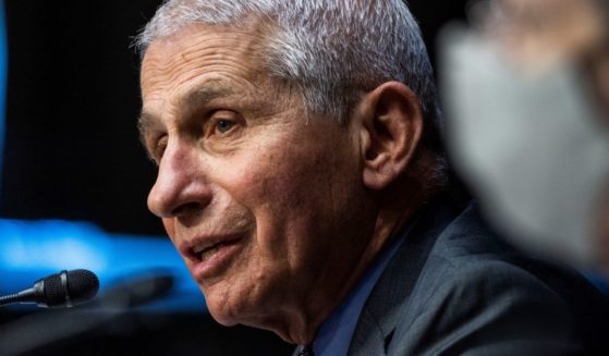 Anthony Fauci, director of the National Institute of Allergy and Infectious Diseases, testifies during a hearing in the Dirksen Senate Office Building in Washington on May 11.
