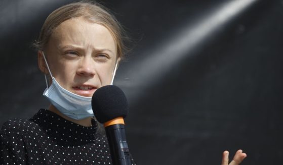 Swedish founder of the "School Strike for Climate" movement Greta Thunberg speaks on the sidelines of talks between representatives of the movement and German Chancellor in Berlin on Aug. 20, 2020.