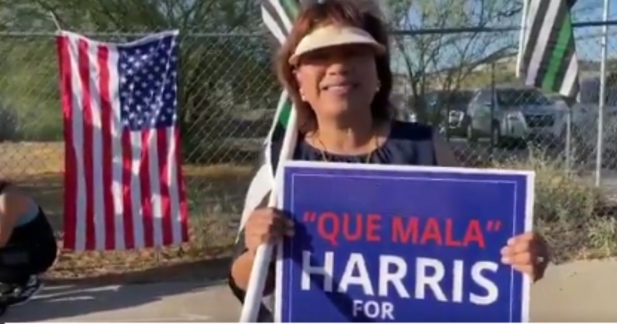 A sign skewering Vice President Kamala Harris' handling of the border crisis is going viral over its clever Spanish pun.