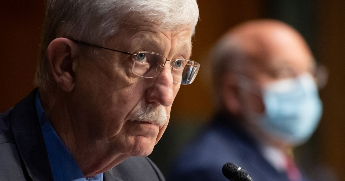 Dr. Francis Collins, director of the National Institutes of Health, testifies during a Senate Appropriations subcommittee hearing on the plan to research, manufacture and distribute a coronavirus vaccine, known as Operation Warp Speed, in Washington, D.C., on July 2, 2020.