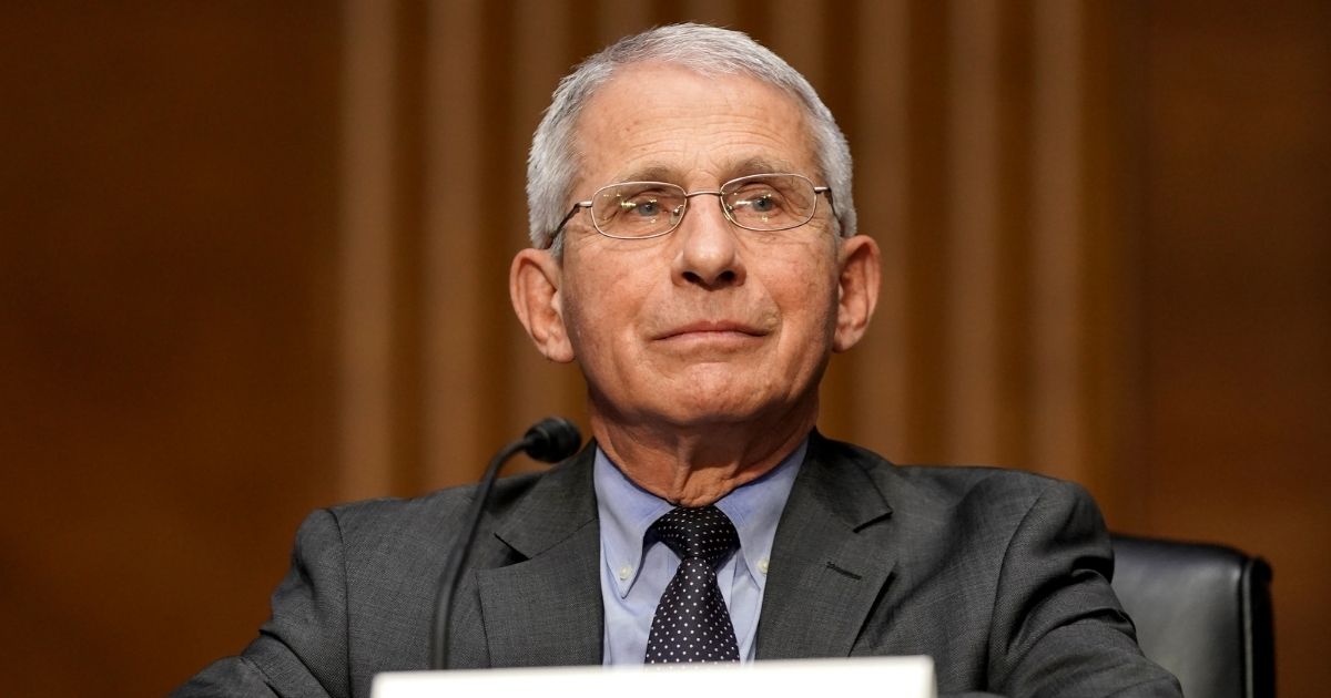 Dr. Anthony Fauci, director of the National Institute of Allergy and Infectious Diseases, is pictured during a May 11 Senate committee hearing.