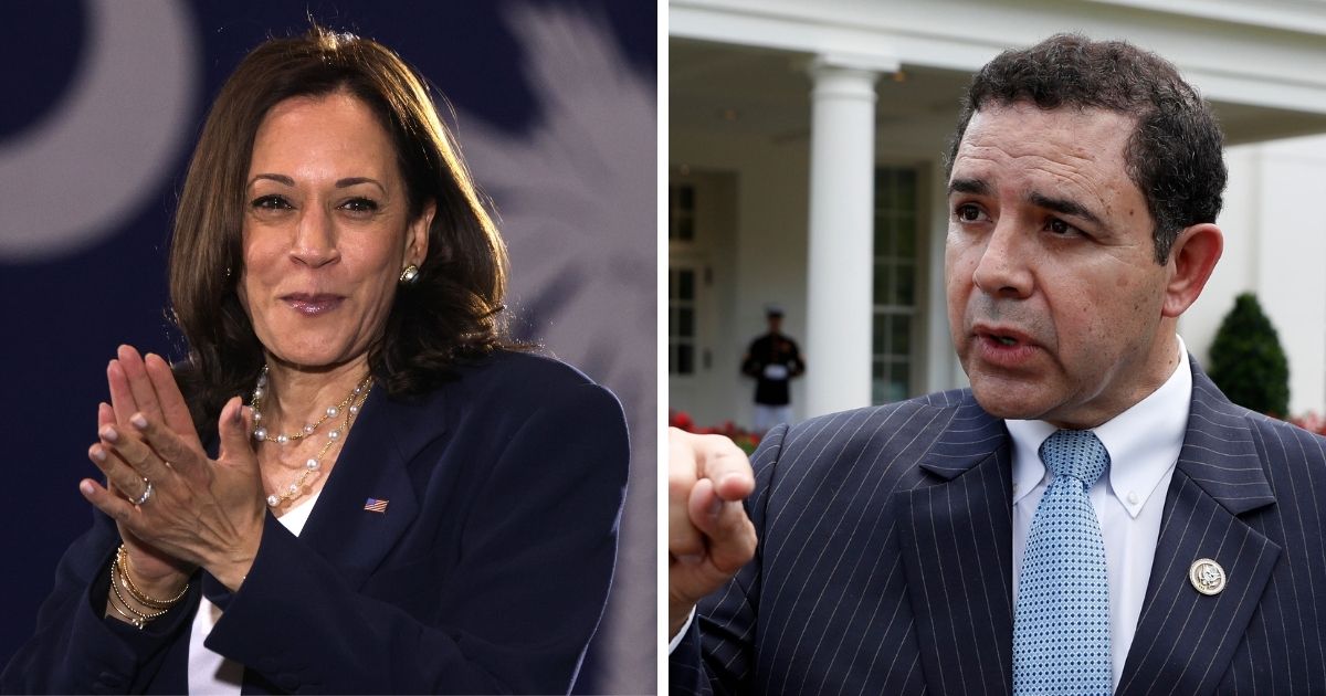 Vice President Kamala Harris, left, might think her planned trip to the southern border on Friday is going to "check the box" to satisfy her critics. But Texas Democratic Rep. Henry Cuellar, who represents a hard-hit border area, has a different take.