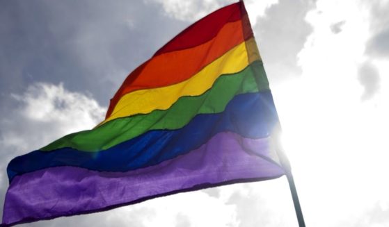A reveller waves a rainbow flag during the Gay Pride Parade in Colombia on June 30, 2013.