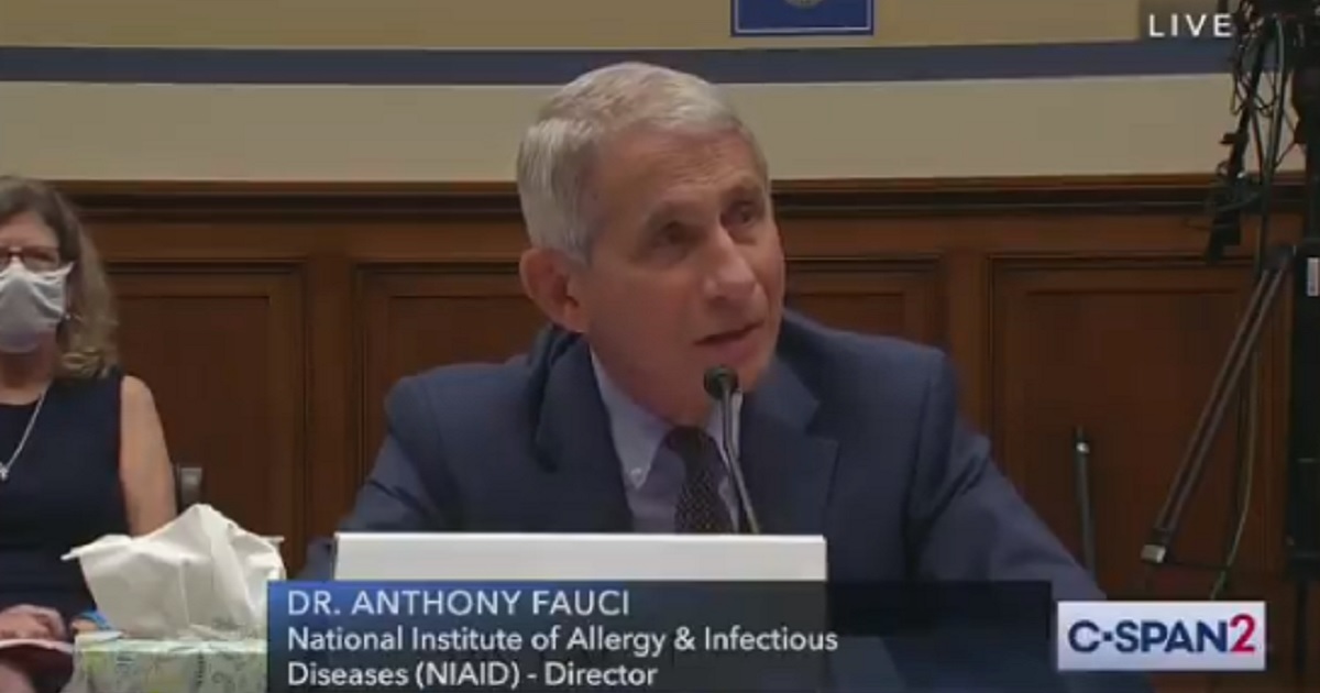 Dr. Anthony Fauci, director of the National Institute for Allergy and Infectious Diseases, appears before a congressional hearing in July.