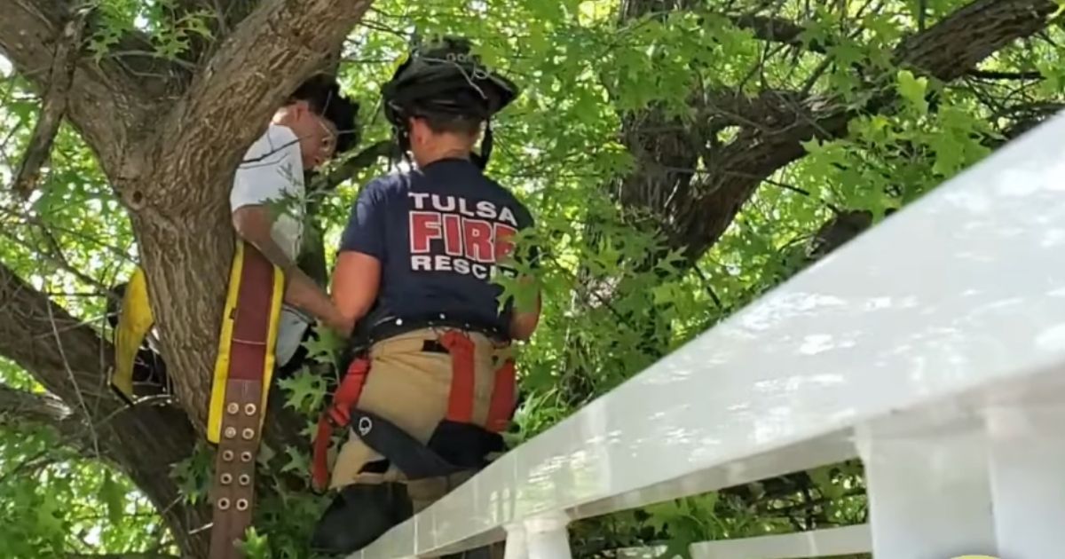 A firefighter rescues a pet owner and his cat in Tulsa, Oklahoma, after the owner got stuck in a tree trying to save the cat.