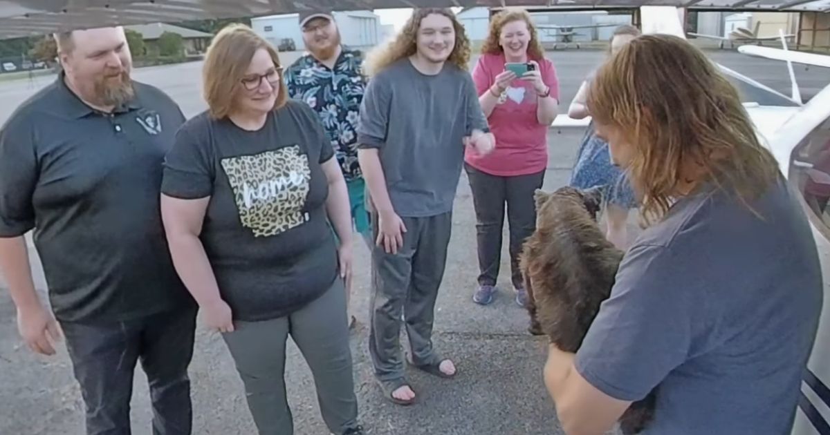 Razzle and his family are reunited after 10 years apart.