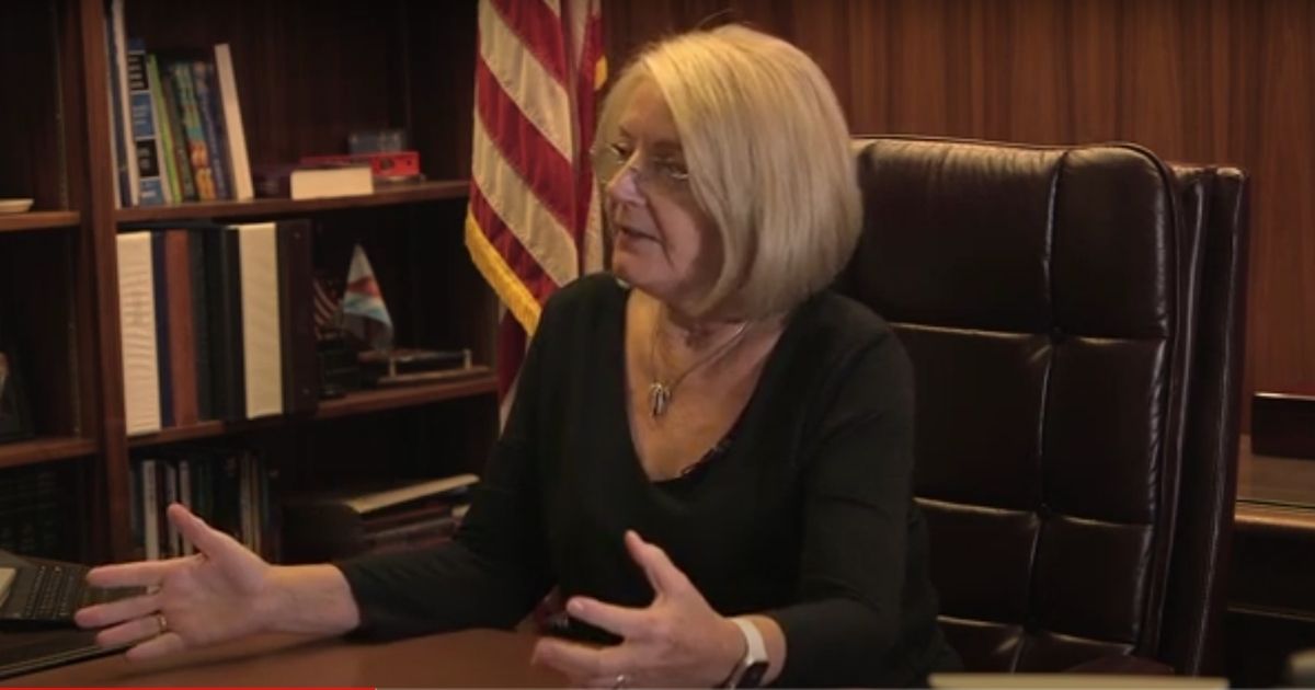 Arizona Senate President Karen Fann conducts an exclusive interview with The Western Journal concerning the state's audit of the 2020 general election.