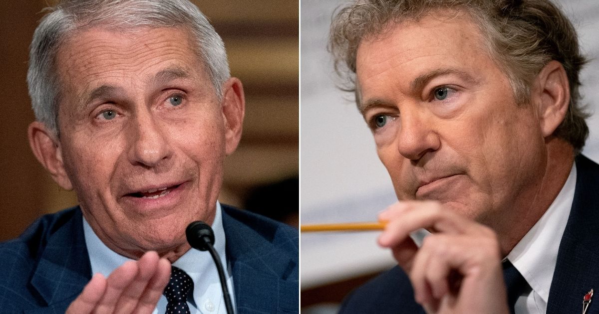 Dr. Anthony Fauci, left, director of the National Institute of Allergy and Infectious Diseases, faced tough questions from Republican Sen. Rand Paul of Kentucky, right, during a Senate Health, Education, Labor, and Pensions Committee hearing on Capitol Hill in Washington on Tuesday.