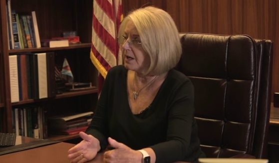 Arizona Senate President Karen Fann speaks exclusively to The Western Journal concerning the audit of the state's 2020 general election.