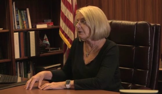 Arizona Senate President Karen Fann conducts an exclusive interview with The Western Journal.