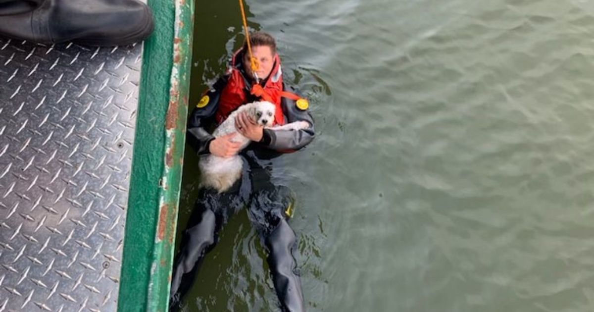 A man holds his dog, who fell into the Hudson River.