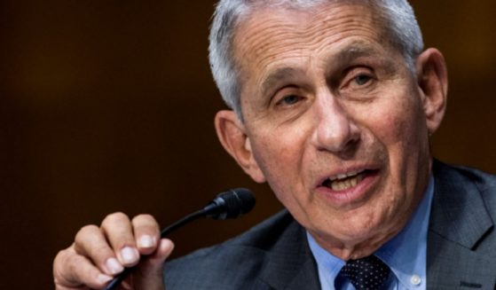 Dr. Anthony Fauci, pictured in a May 11 file photo.