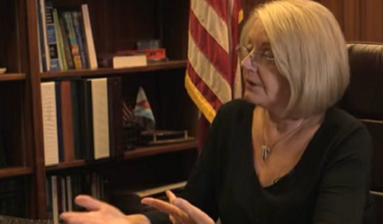 Arizona state Senate President Karen Fann in a July 22 interview with The Western Journal.