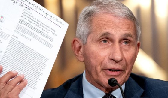 Dr. Anthony Fauci, director of the National Institute of Allergy and Infectious Diseases, testifies at a Senate Health, Education, Labor, and Pensions Committee hearing at the Dirksen Senate Office Building on July 20, 2021, in Washington, D.C.