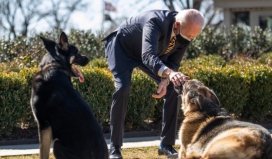 President Joe Biden pets his dog Champ as his other dog, Major, looks on.
