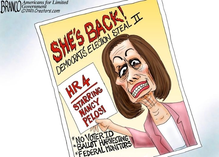 Nancy Pelosi swamp