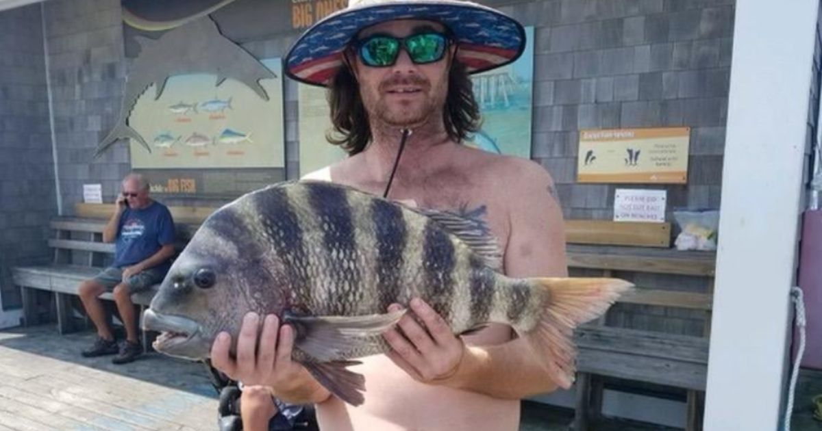 This 9-pound sheepshead was caught off the coast of Nag's Head, North Carolina, recently.