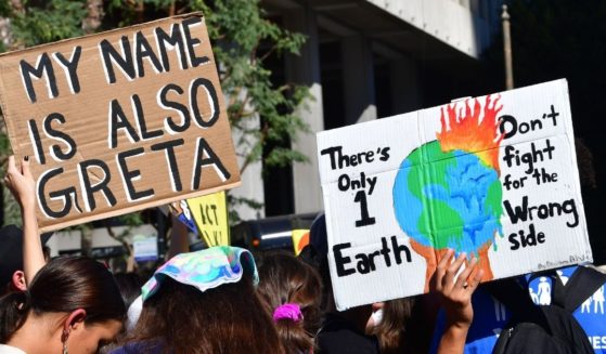 A group of climate change activists are seen marching through Los Angeles in a photo taken on Nov. 1, 2019.