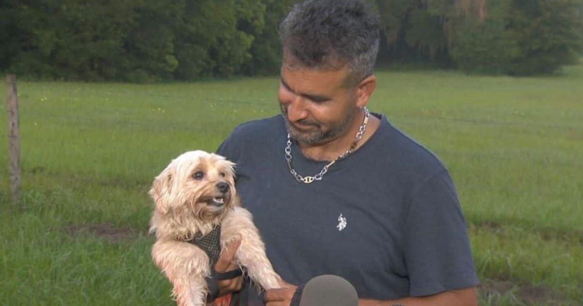 Joel Rosa and Maggie, his small dog who woke him up by barking when their house caught on fire, are pictured above.