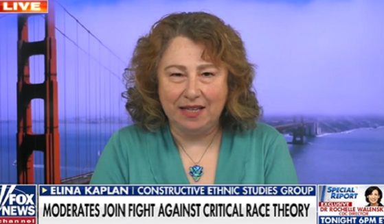 Elina Kaplan, an anti-critical race theory activist, is interviewed last week on "America's Newsroom."
