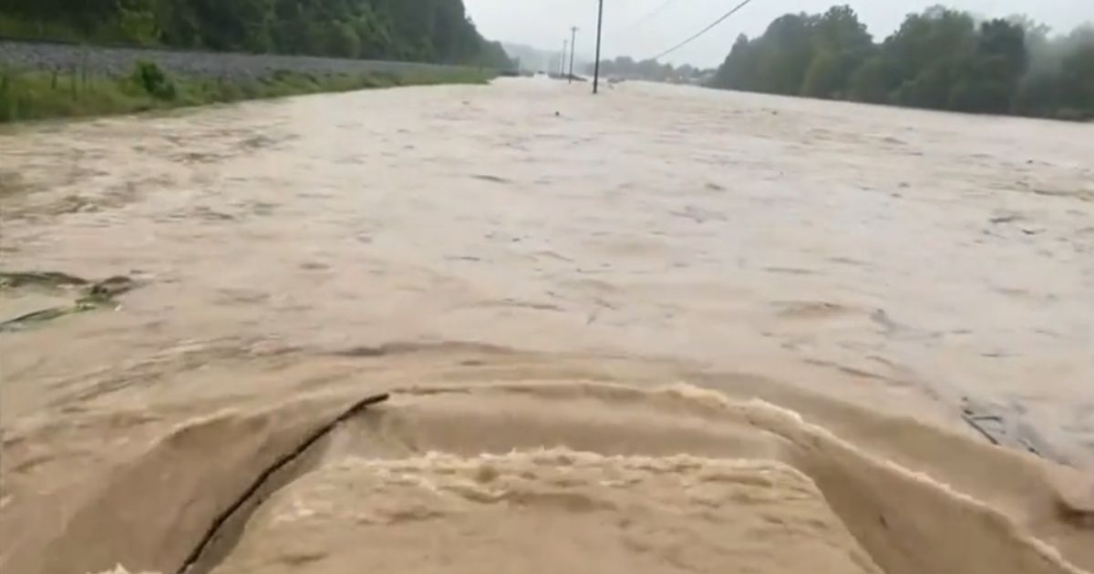The view from Doug Whitfield's truck, which he, his wife, and their three dogs were trapped in when floodwaters rose.