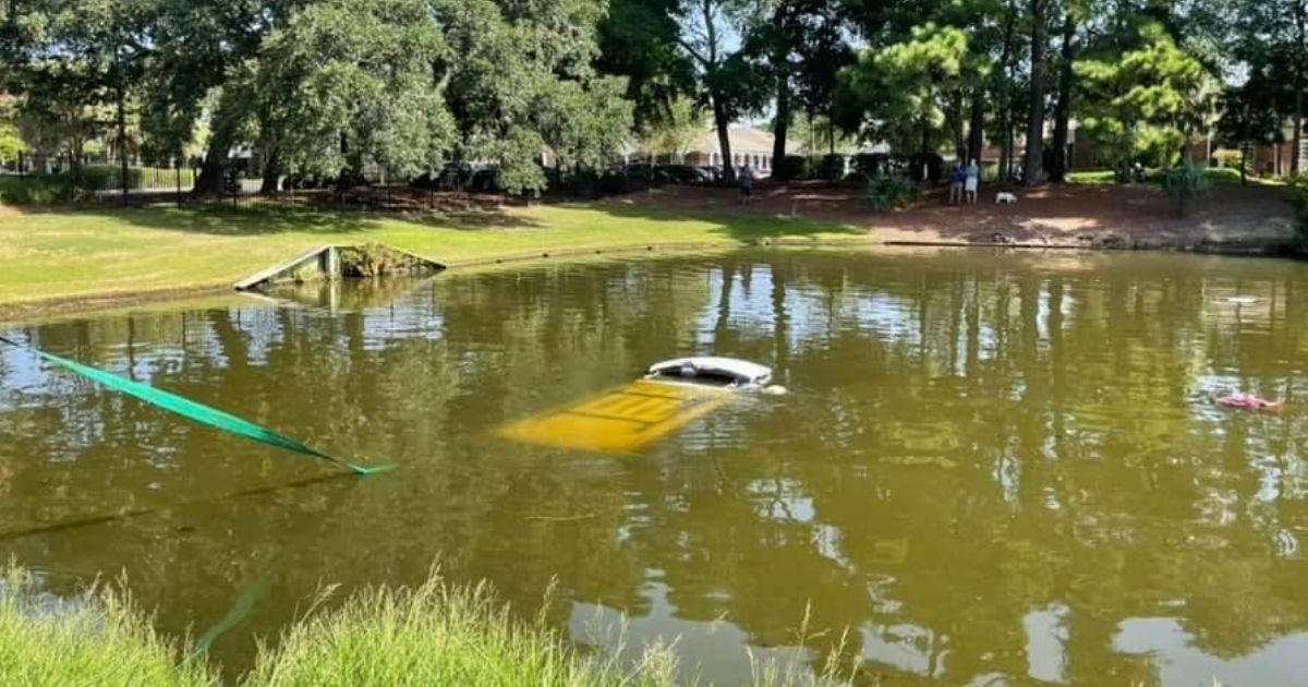 A car that went into a pond in Pawleys Island, South Carolina, trapping the man and dog inside until a trooper came to rescue them.