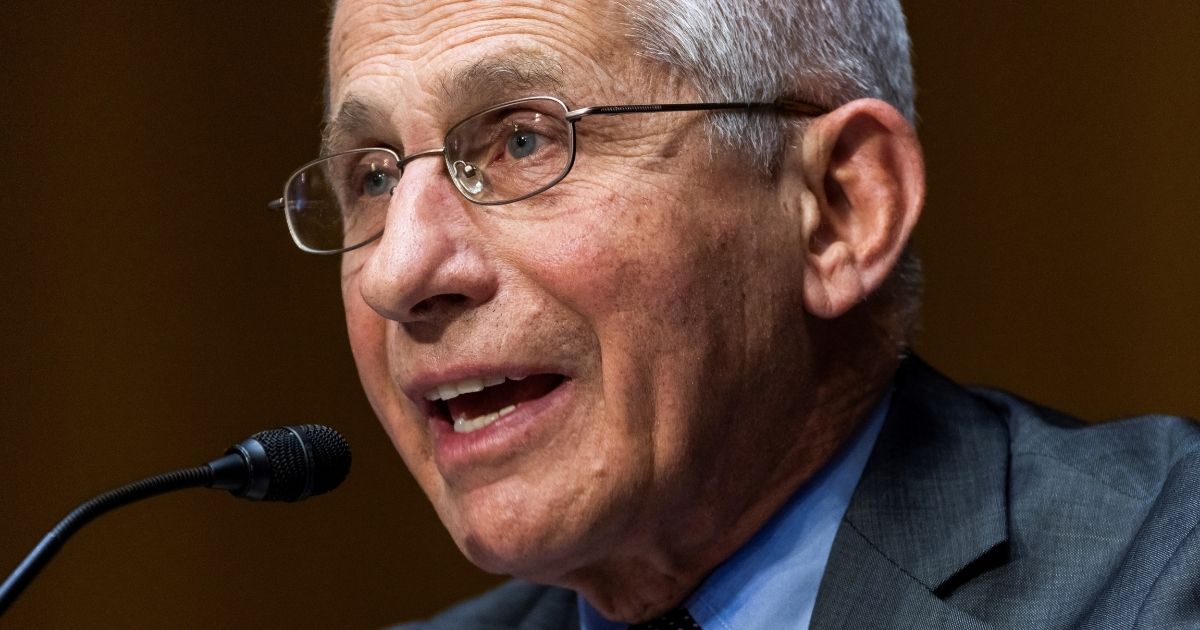 Dr. Anthony Fauci, director of the National Institute of Allergy and Infectious Diseases at the National Institutes of Health, answers a question during a Senate Health, Education, Labor, and Pensions Committee hearing in the Dirksen Senate Office Building in Washington on May 11.