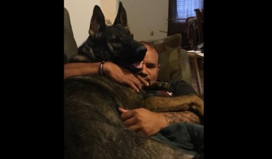 Drew Canaday snuggles with his hero dog Ozzie. Ozzie saved a neighbor who was being attacked by another dog.