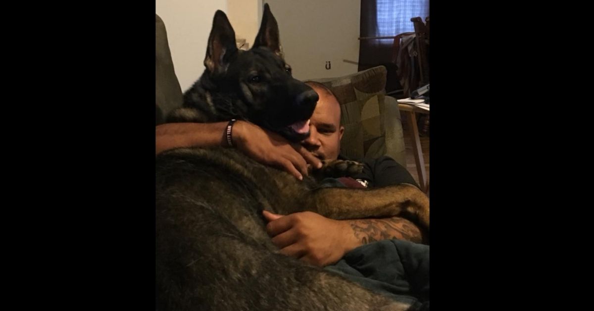 Drew Canaday snuggles with his hero dog Ozzie. Ozzie saved a neighbor who was being attacked by another dog.