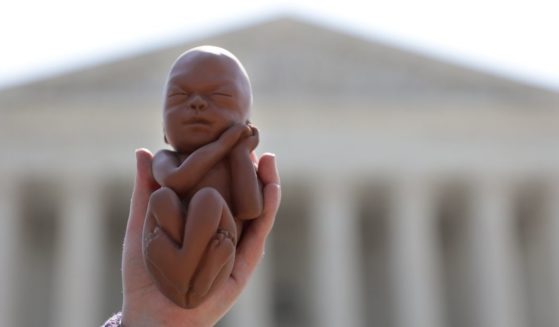 A pro-life activist holds up a model of a fetus during a protest in front of the U.S. Supreme Court on June 22, 2020, in Washington, D.C.