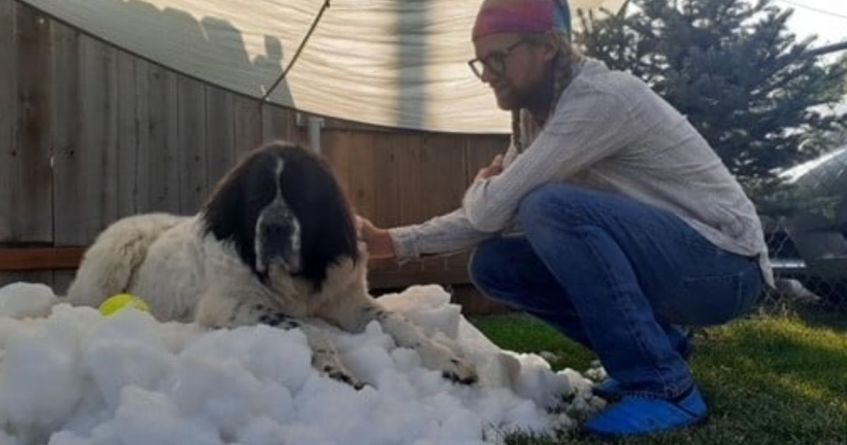 Elijah Lee Saltzgaber of Sugar House, Uta,h put out a call to the Salt Lake County Parks and Recreation, asking for some snow so his beloved companion Maggie could enjoy one a last roll in a snowbank before she was scheduled to be euthanized Monday.