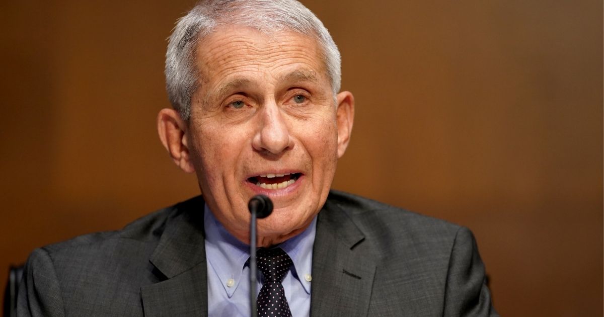 Dr. Anthony Fauci, pictured in a May file photo testifying berfore a Senate committee.