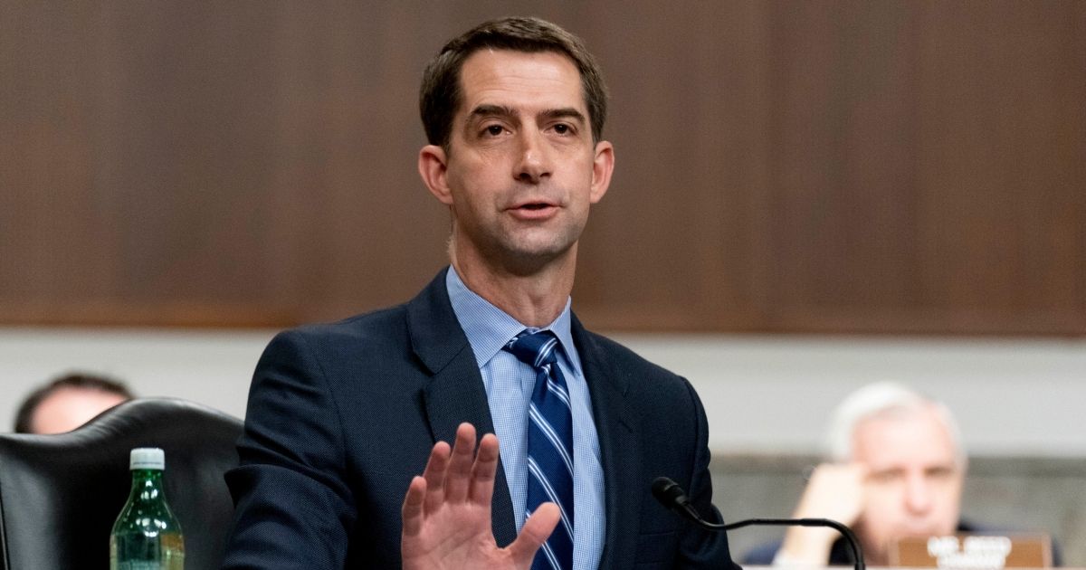 Arkansas Republican Sen. Tom Cotton speaks during a hearing on Capitol Hill on March 25, in Washington, D.C.
