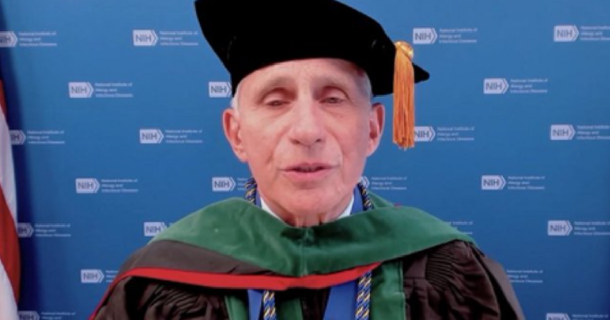 Dr. Anthony Fauci, director of the National Institute of Allergy and Infectious Diseases, is pictued in a cap and gown after receiving an honorary doctarate Saturday from the Mayo Clinic Graduate School of Biomedical Sciences.