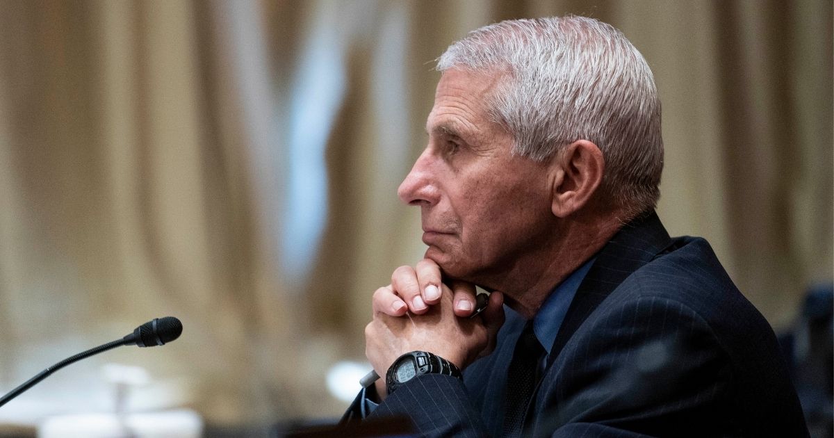 Dr. Anthony Fauci, director of the National Institute of Allergy and Infectious Diseases, listens during a Senate Appropriations Subcommittee looking into the budget estimates for National Institute of Health (NIH) and the state of medical research on May 26 on Capitol Hill in Washington.