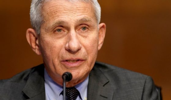 Dr. Anthony Fauci, director of the National Institute of Allergy and Infectious Diseases, pictured in a May file photo.