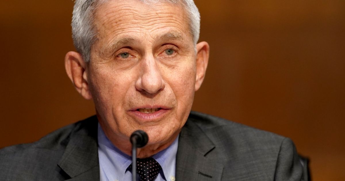 Dr. Anthony Fauci, director of the National Institute of Allergy and Infectious Diseases, pictured in a May file photo.