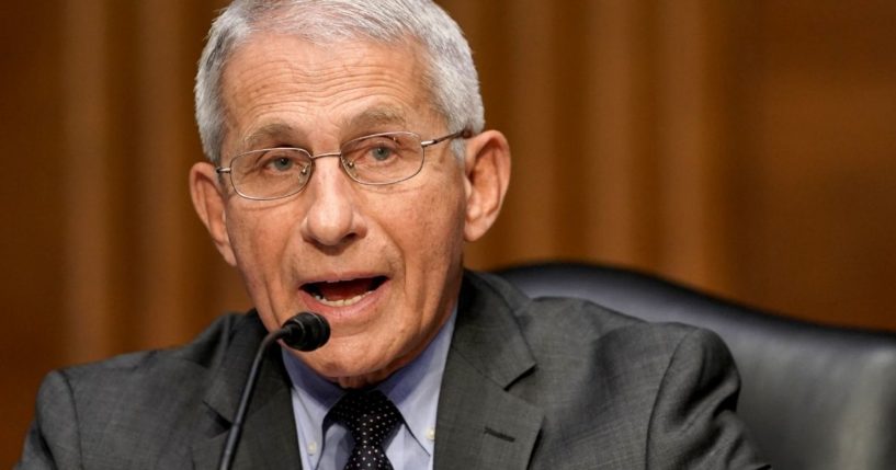 National Institute of Allergy and Infectious Diseases Director Dr. Anthony Fauci, pictured testifying at a May Senate committee hearing.