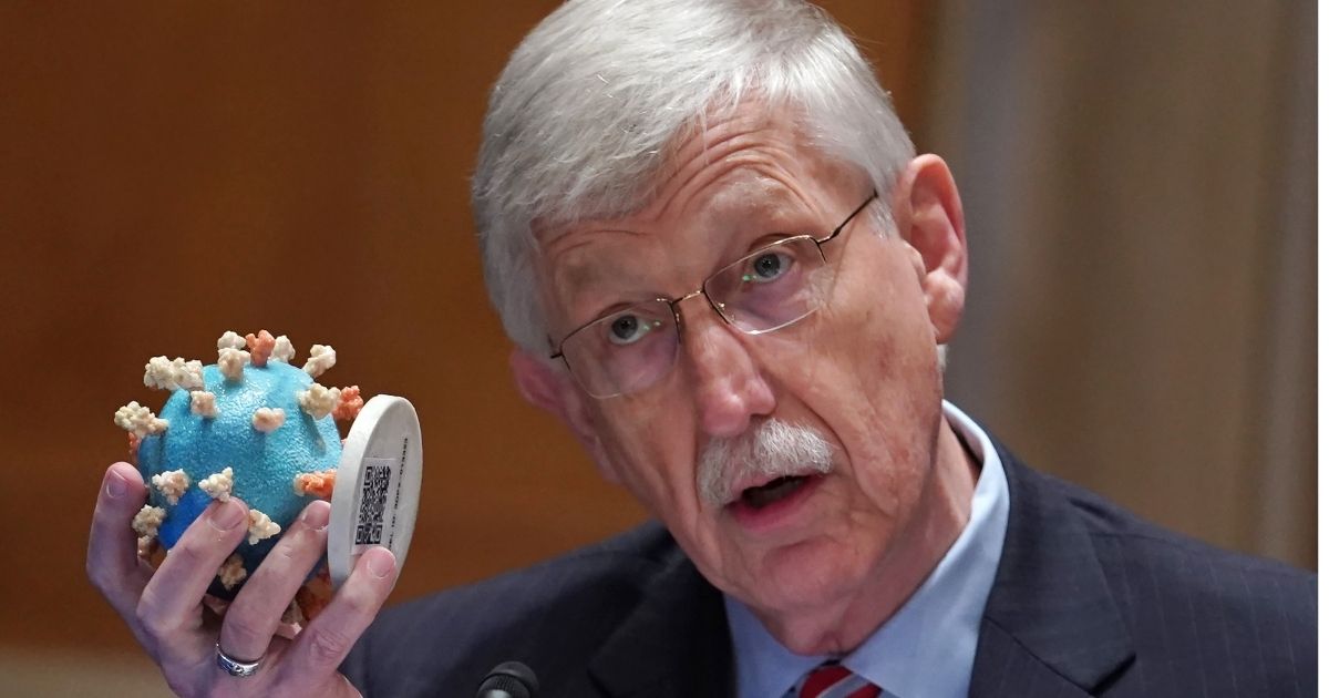 National Institutes of Health Director Dr. Francis Collins holds up a COVID-19 model while testifying before a Senate Appropriations Subcommittee on Capitol Hill in Washington, D.C., on May 26.