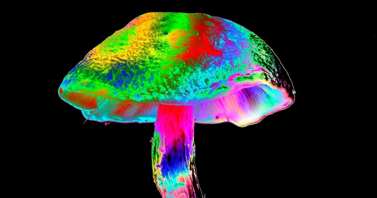 A stock photo shows a computer-enhanced image of a magic mushroom.