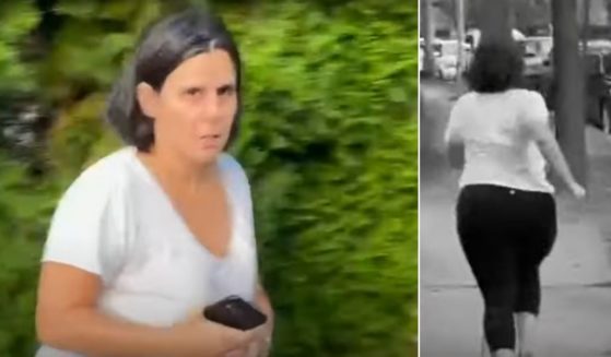 A woman identified as Vanessa Gelman, senior director of worldwide research, development and medical communications for Pfizer, runs away from Project Veritas reporter. James Lalino.