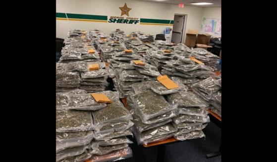 The 770-pound stash of marijuana left behind in a storage locker in Florida.