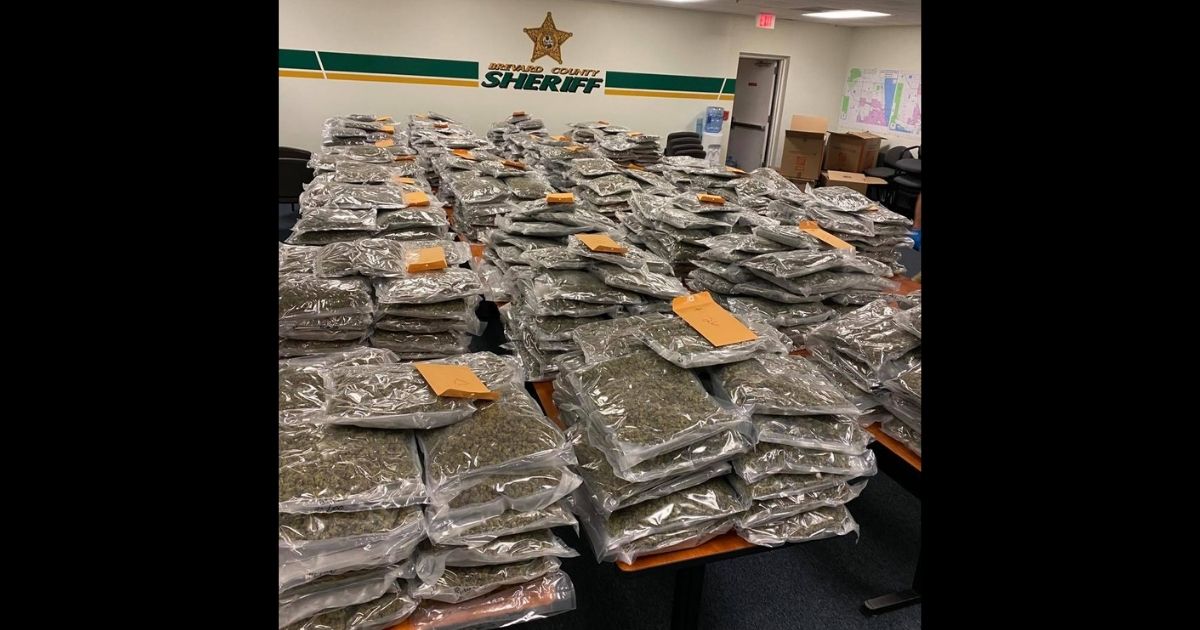 The 770-pound stash of marijuana left behind in a storage locker in Florida.
