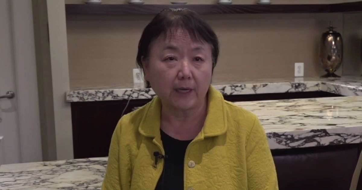 Xi Van Fleet, a Chinese immigrant who fled Mao Zedong's Cultural Revolution, speaks with Fox News about the treatment of concerned parents at school board meetings.