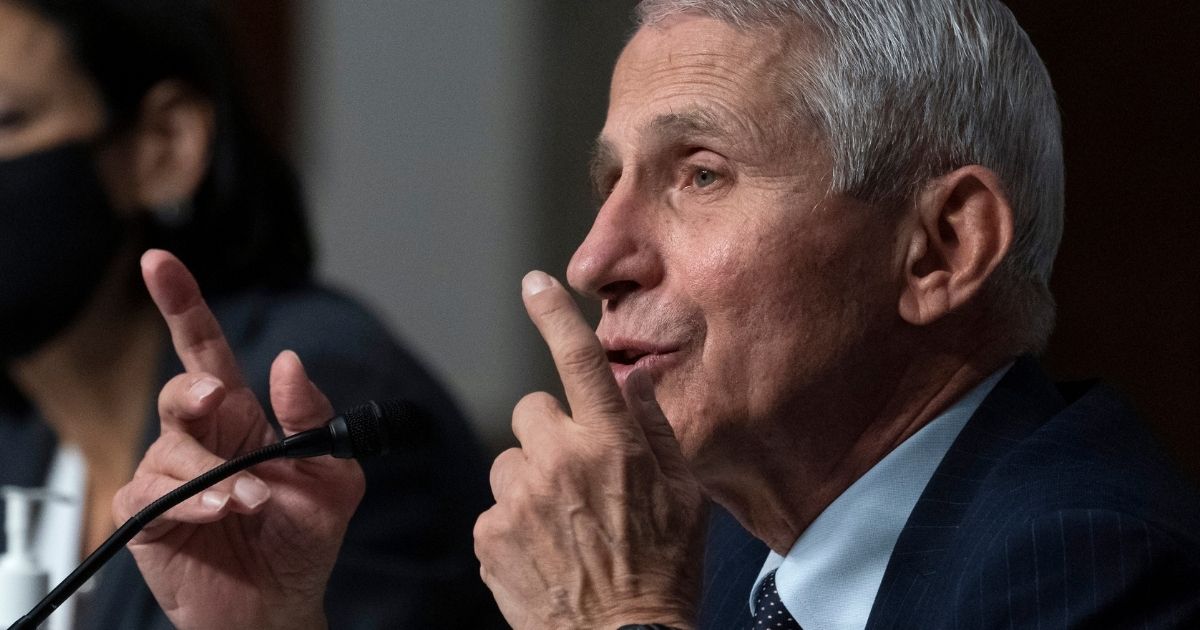 Dr. Anthony Fauci speaks at a senate committee hearing for the Health, Education, Labor, and Pensions Committee in Washington, D.C., on Nov. 4.