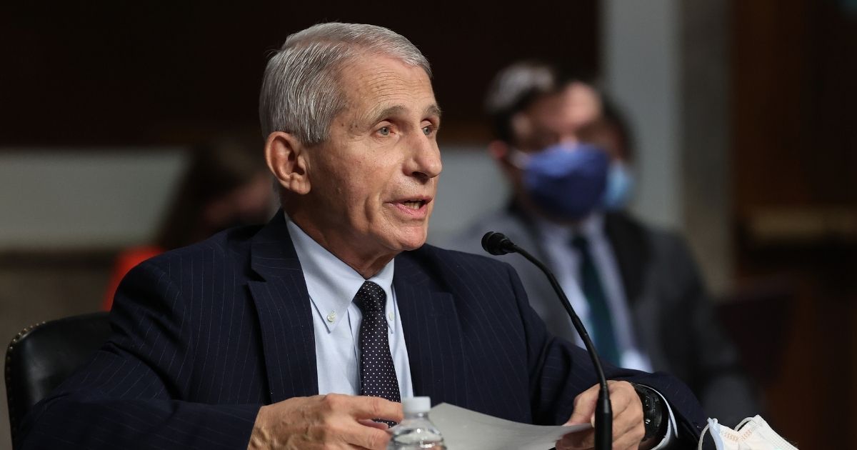 Dr. Anthony Fauci, director of the National Institute of Allergy and Infectious Diseases, testifies before the Senate Health, Education, Labor and Pensions Committee about the ongoing response to the COVID-19 pandemic on Nov. 4 in Washington, D.C.