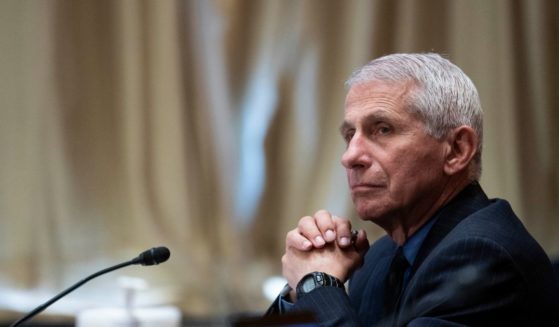 Dr. Anthony Fauci, director of the National Institute of Allergy and Infectious Diseases, listens during a Senate Appropriations Subcommittee hearing on May 26 on Capitol Hill in Washington, D.C.